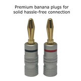 Premium 24K Gold Plated Copper Speaker Wire Banana Plug Connectors (12-pack / 6 pairs)